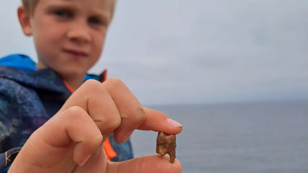 Boy discovers ancient burial mound