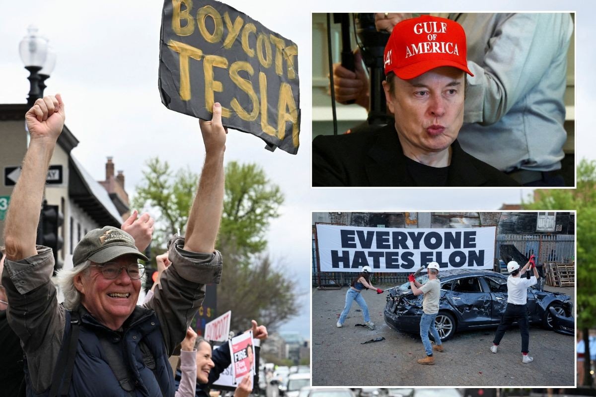 Boycott Tesla protest, Elon Musk and Elon Musk protesters attacking a car