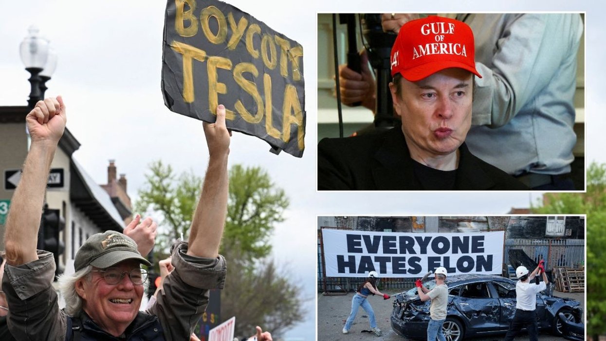 Boycott Tesla protest, Elon Musk and Elon Musk protesters attacking a car