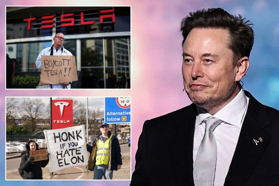 Boycott Tesla sign, a 'honk if you hate Elon' sign and Elon Musk