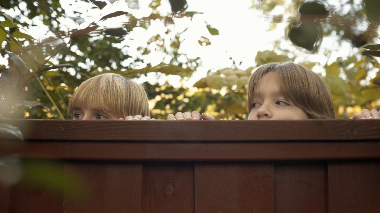 Boys peering over fence