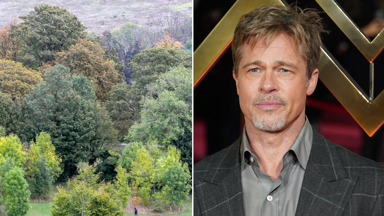 Brad Pitt High Wycombe