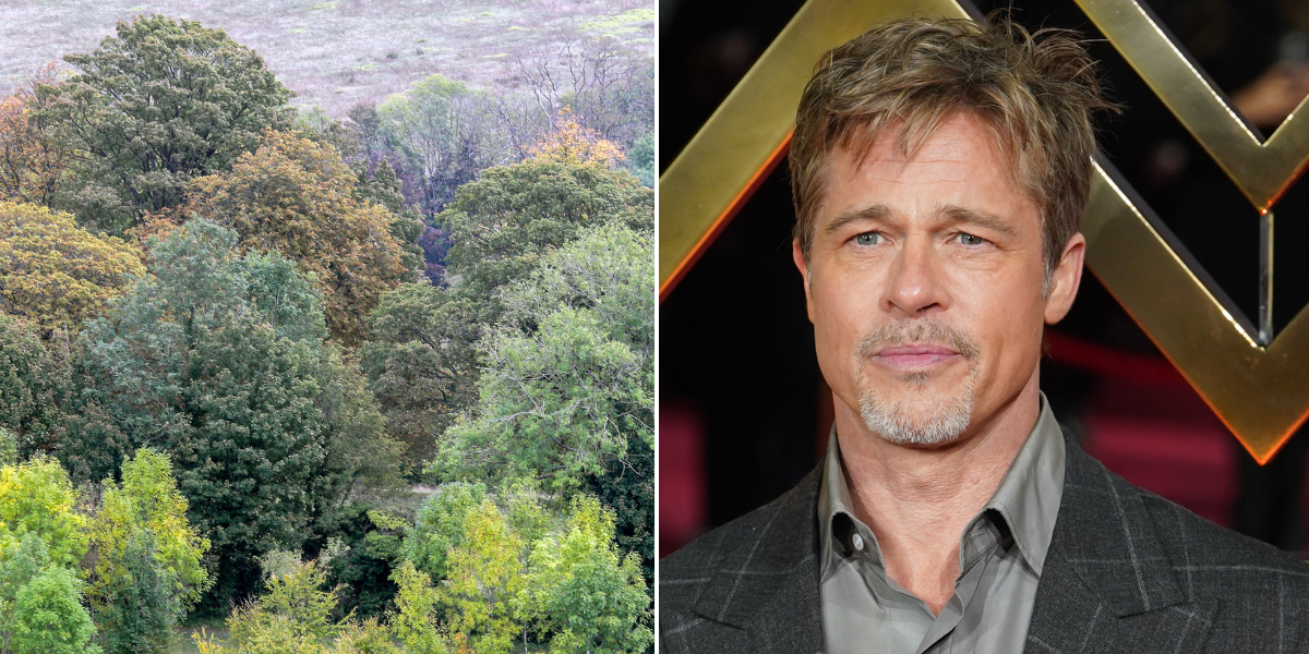 Brad Pitt home: Actor owned luxury mansion in English village