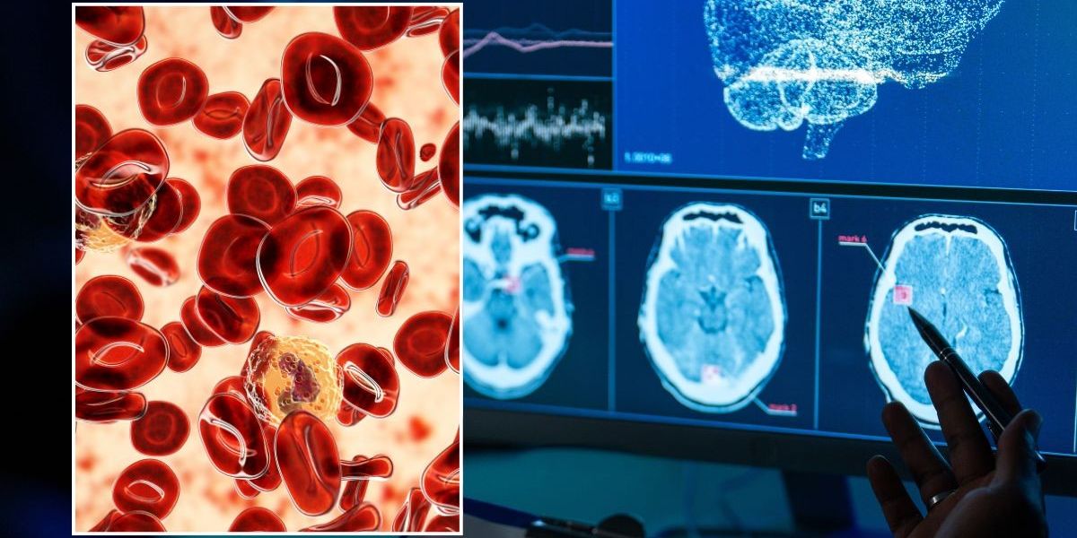 NextImg:Scientists sound alarm over hidden trigger raising heart risk by 52% in 'healthy women'