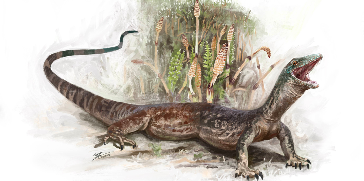 NextImg:New dinosaur species is found in Britain as researchers hail 'remarkable' discovery