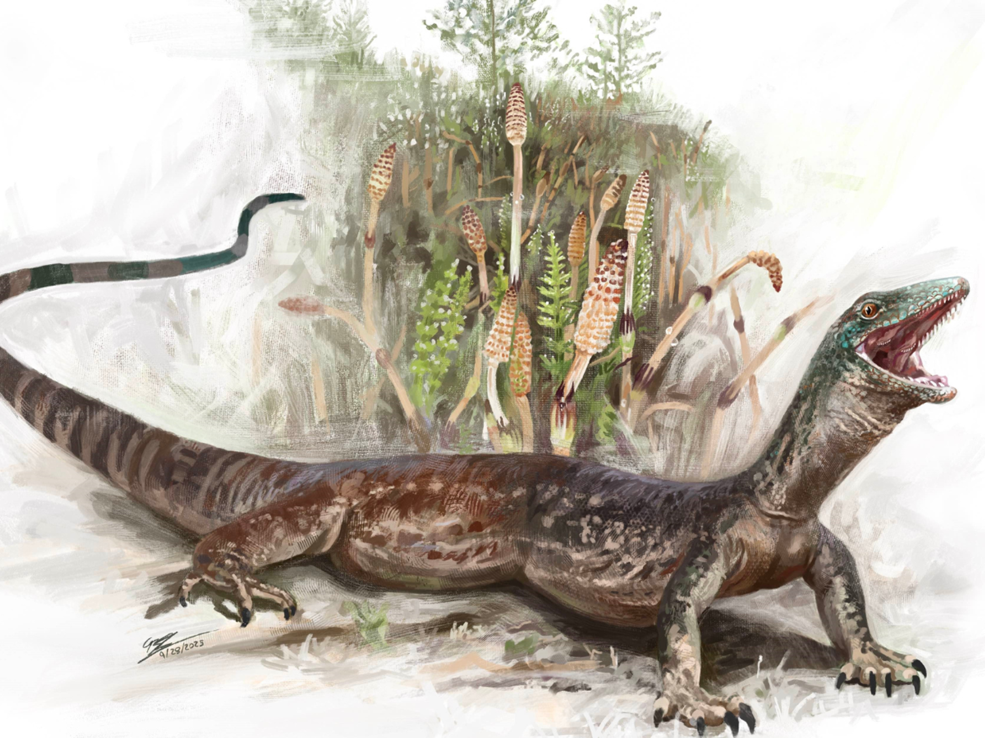 Breugnathair elgolensis