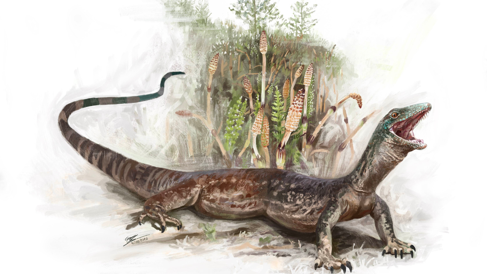 Breugnathair elgolensis