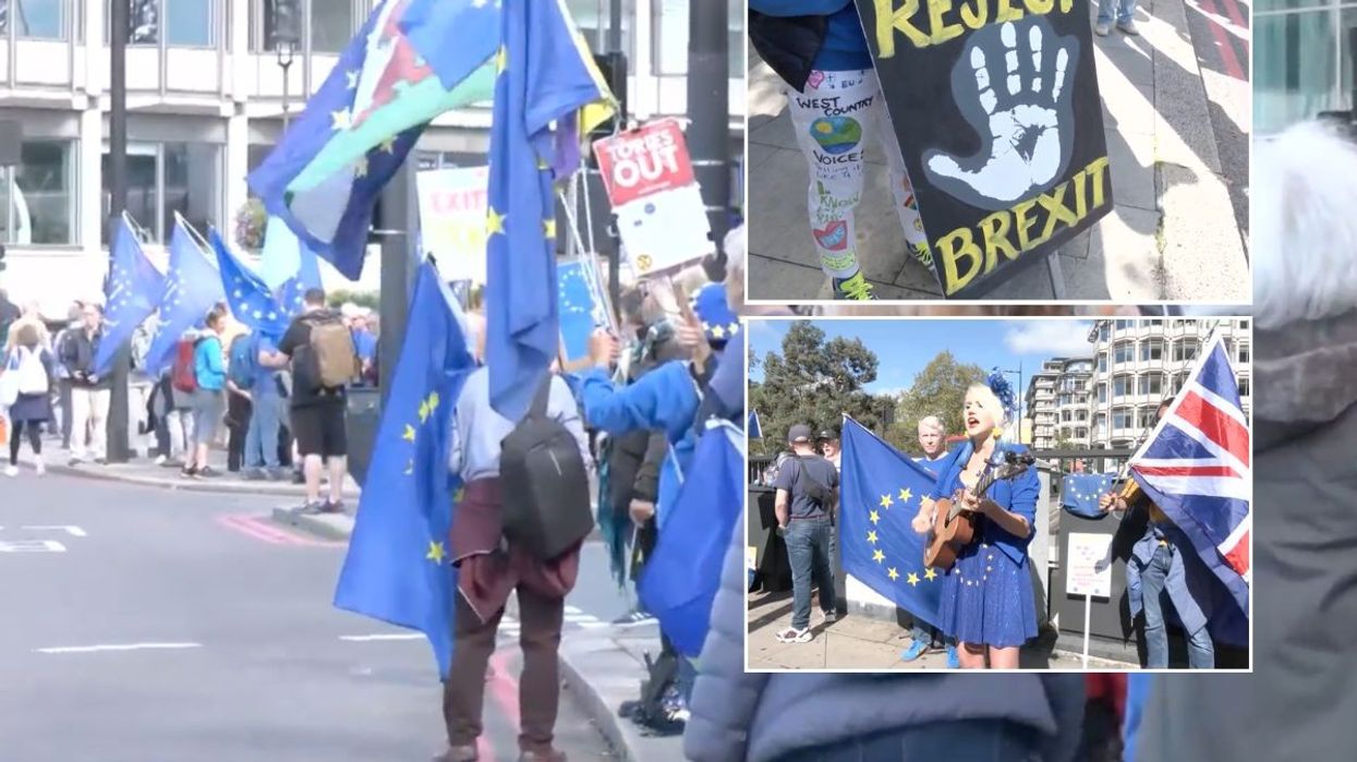 Brexit activists