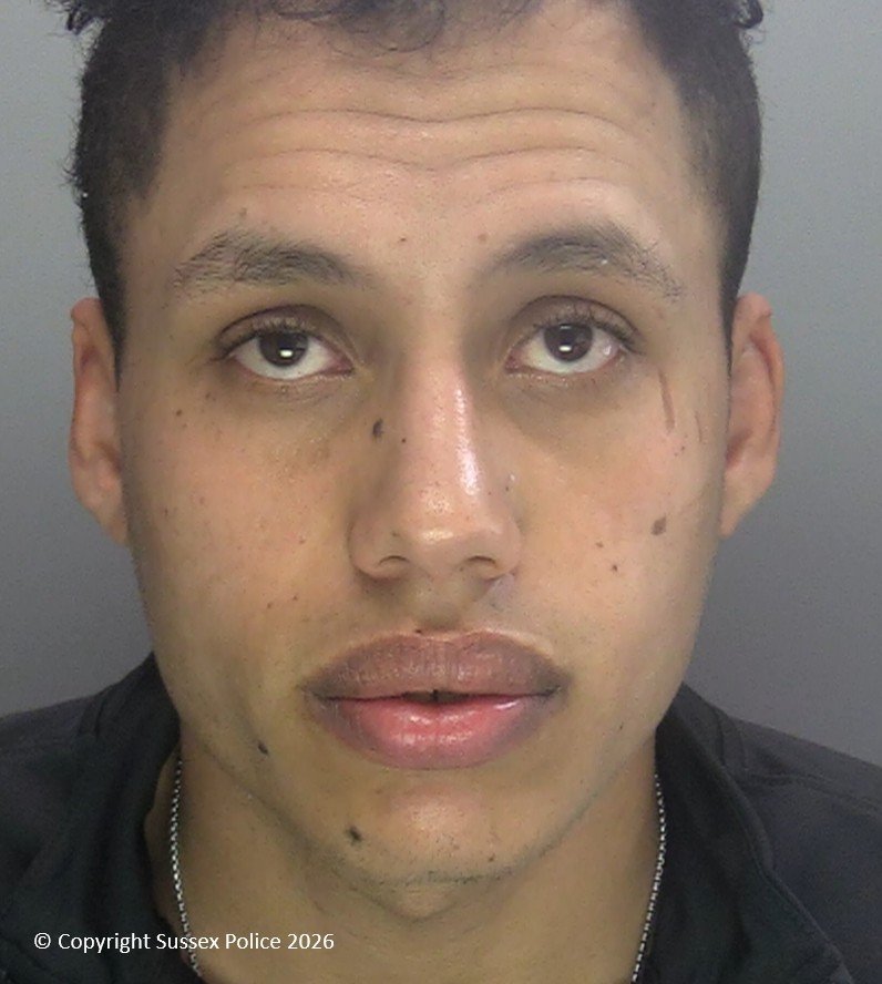 Brighton beach rapist