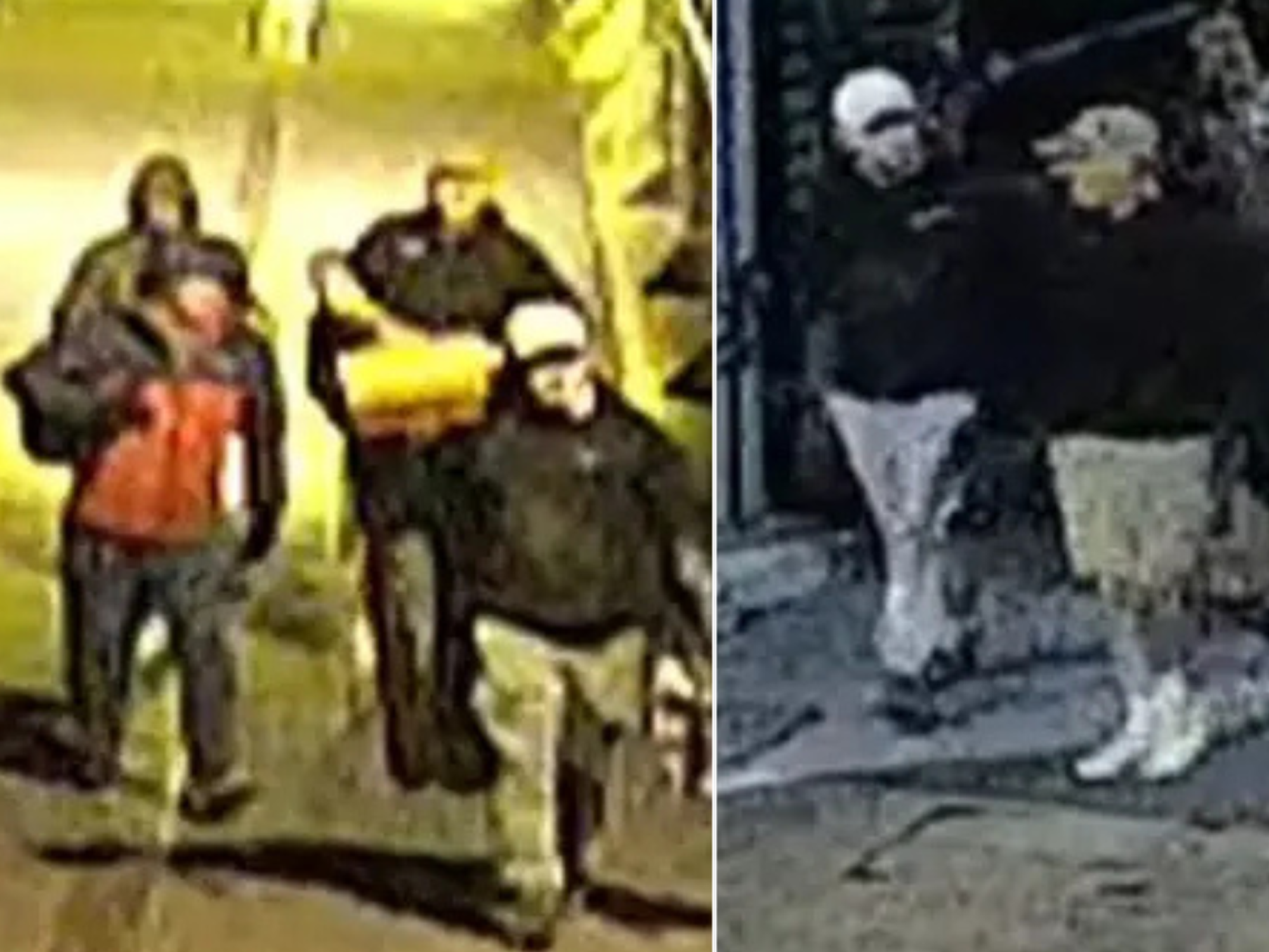 Bristol Museum artefacts stolen