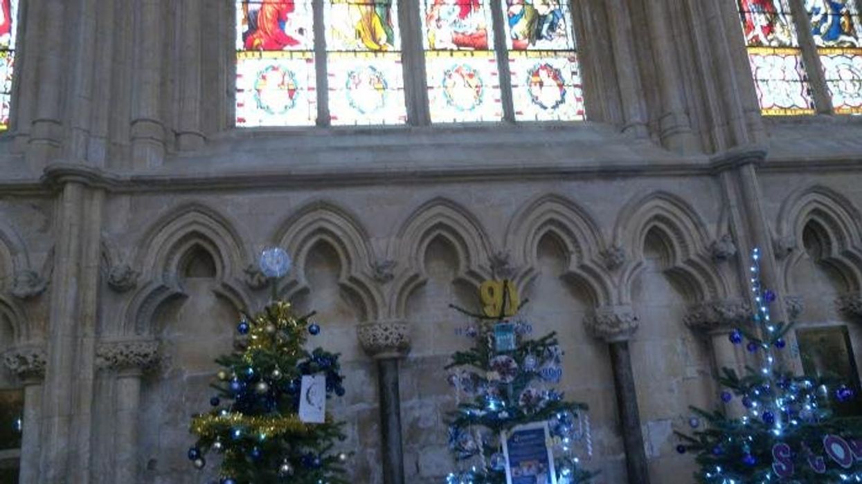 'Idiot' Christmas tree climber 'admits guilt' after branches left broken and lights torn down