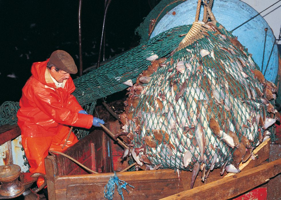 Britain's North Sea fishermen are set to be decolonised
