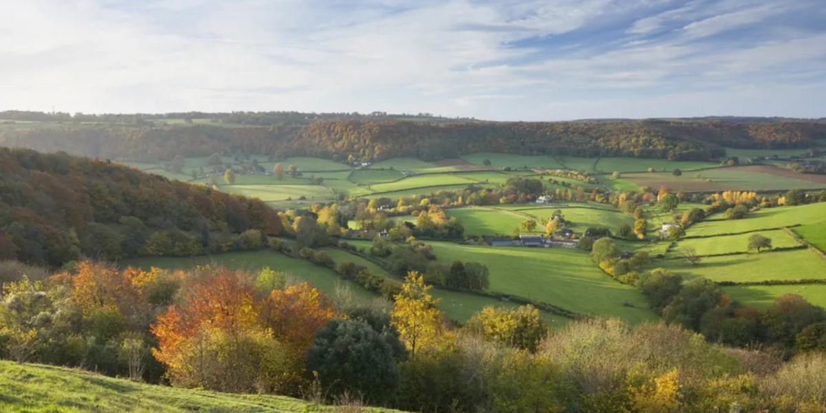 NextImg:Rural England is 'too white and needs more halal food', says 'Centre for Hate Studies'
