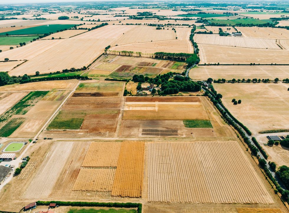 British farmland