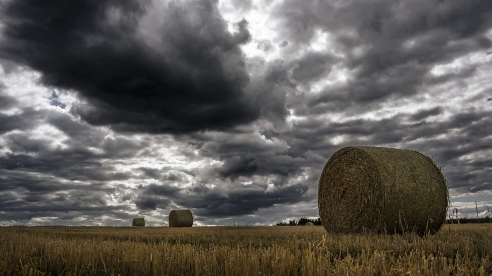 British farmland