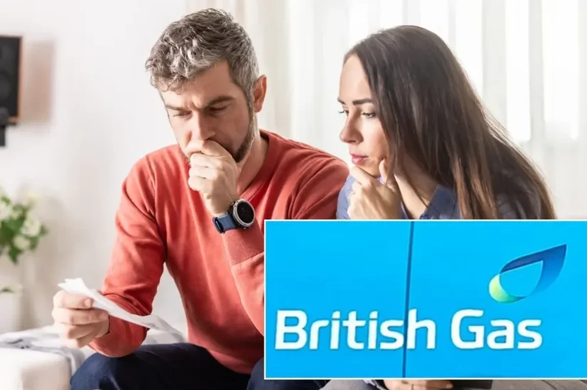 British gas customer