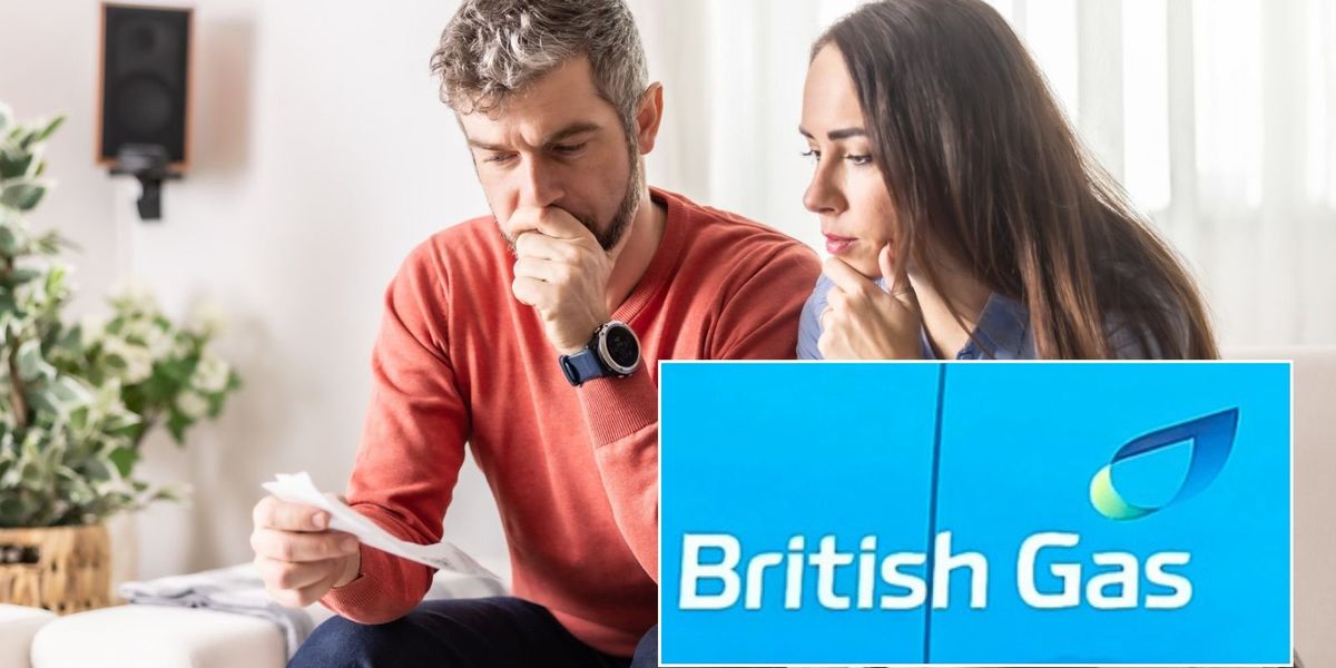 British Gas takes on 23,700 Tomato Energy customers after collapse British Gas takes on 23,700 Tomato Energy customers after collapse