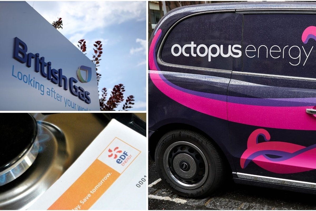 British Gas, Octopus Energy and EDF