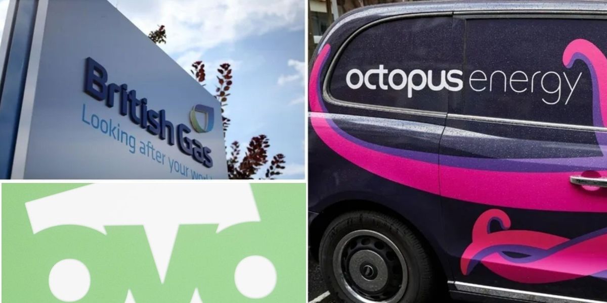 British Gas, OVO, and Octopus energy customers could be sitting on £212 cash British Gas, OVO, and Octopus energy customers could be sitting on £212 cash