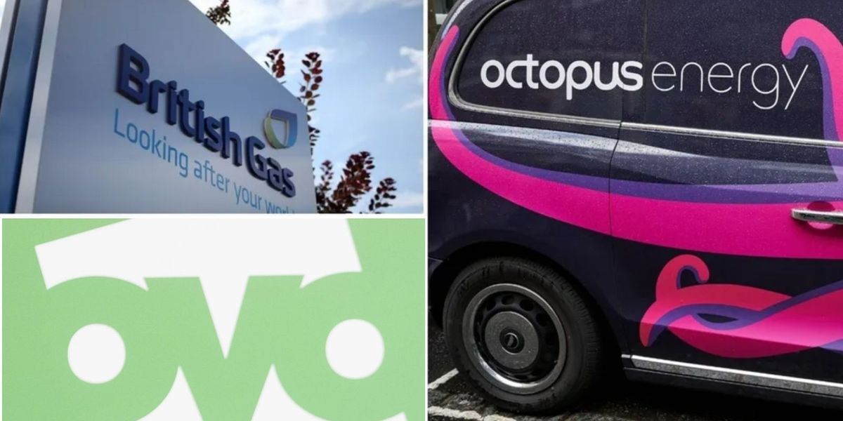 British Gas, Octopus, OVO and E.ON customers warned of ‘vampire devices’ adding £140 to energy bills British Gas, Octopus, OVO and E.ON customers warned of ‘vampire devices’ adding £140 to energy bills