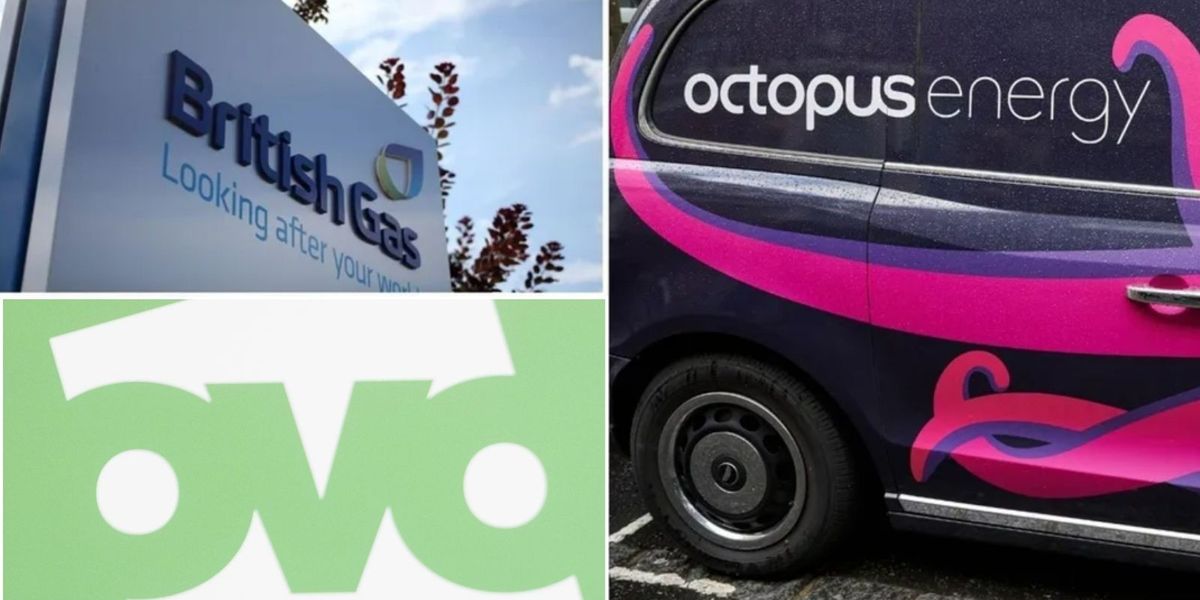 British Gas, Octopus and OVO customers could save over £555 a year on energy bills with simple switches British Gas, Octopus and OVO customers could save over £555 a year on energy bills with simple switches