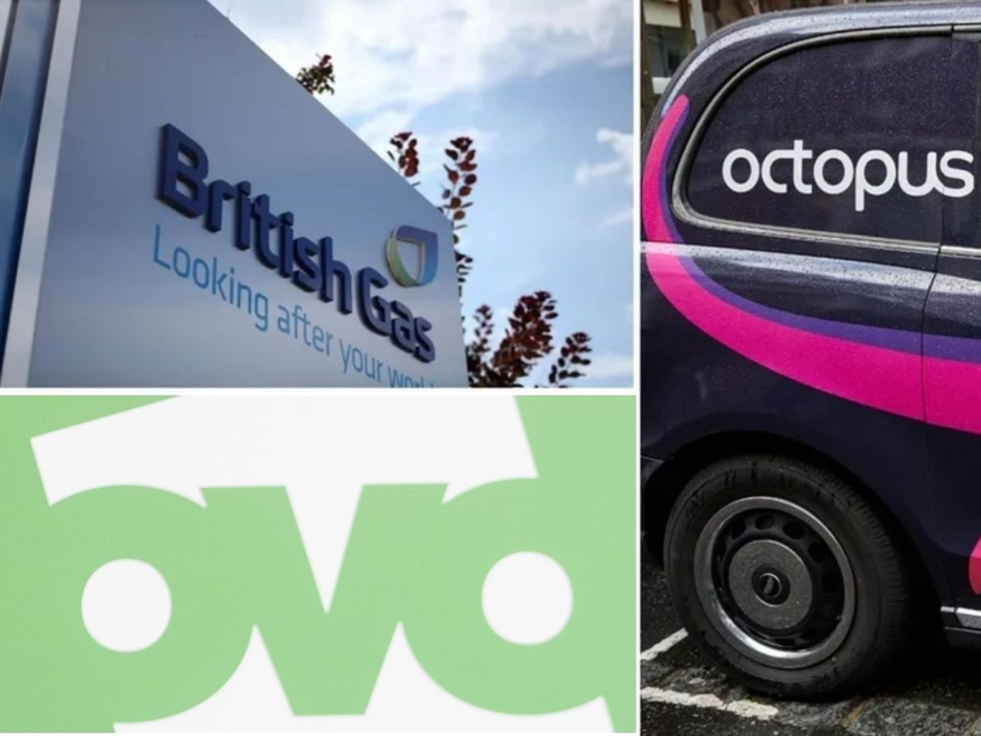 British Gas, OVO and Octopus Energy logo