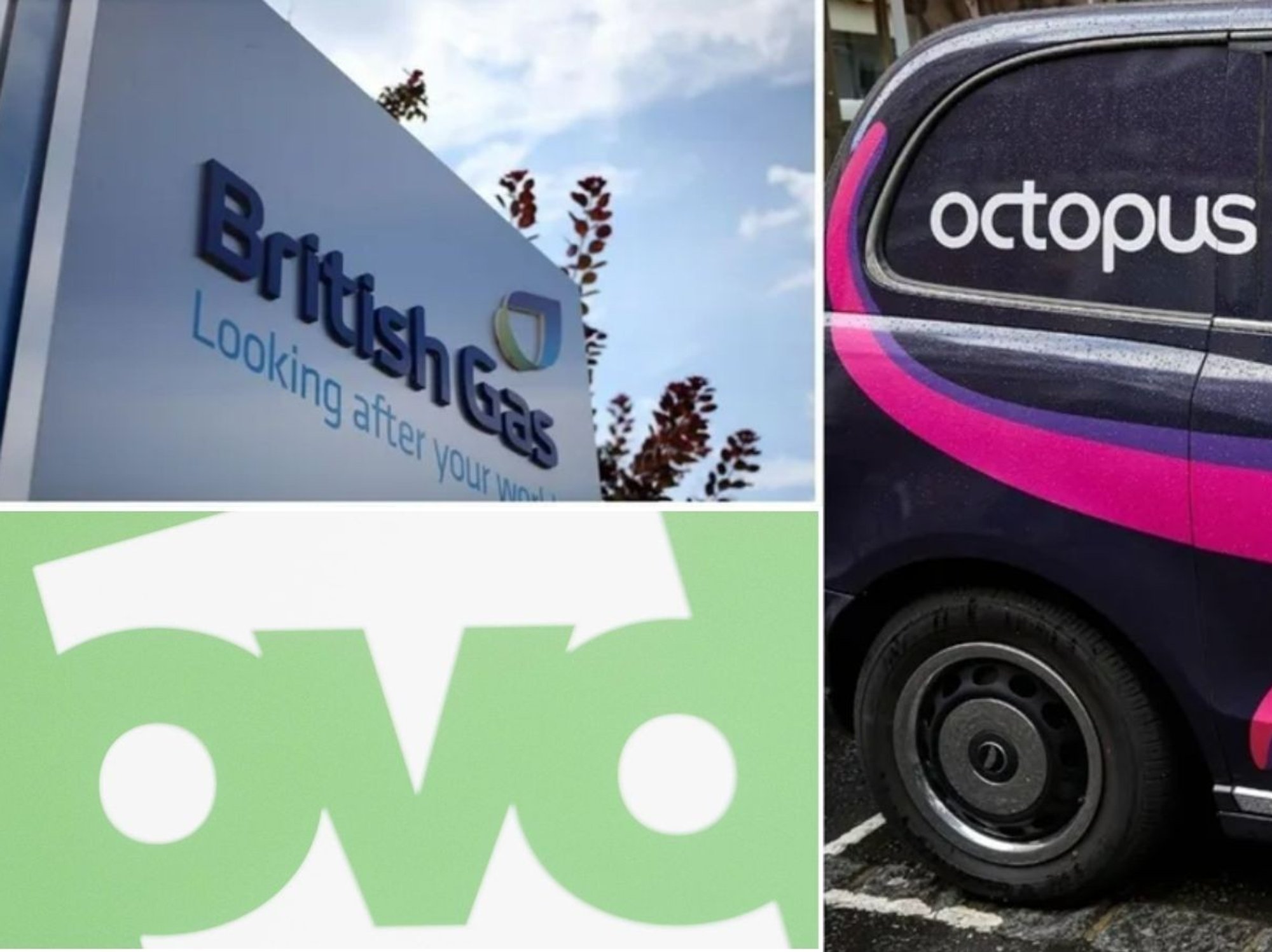 British Gas, OVO and Octopus Energy logo