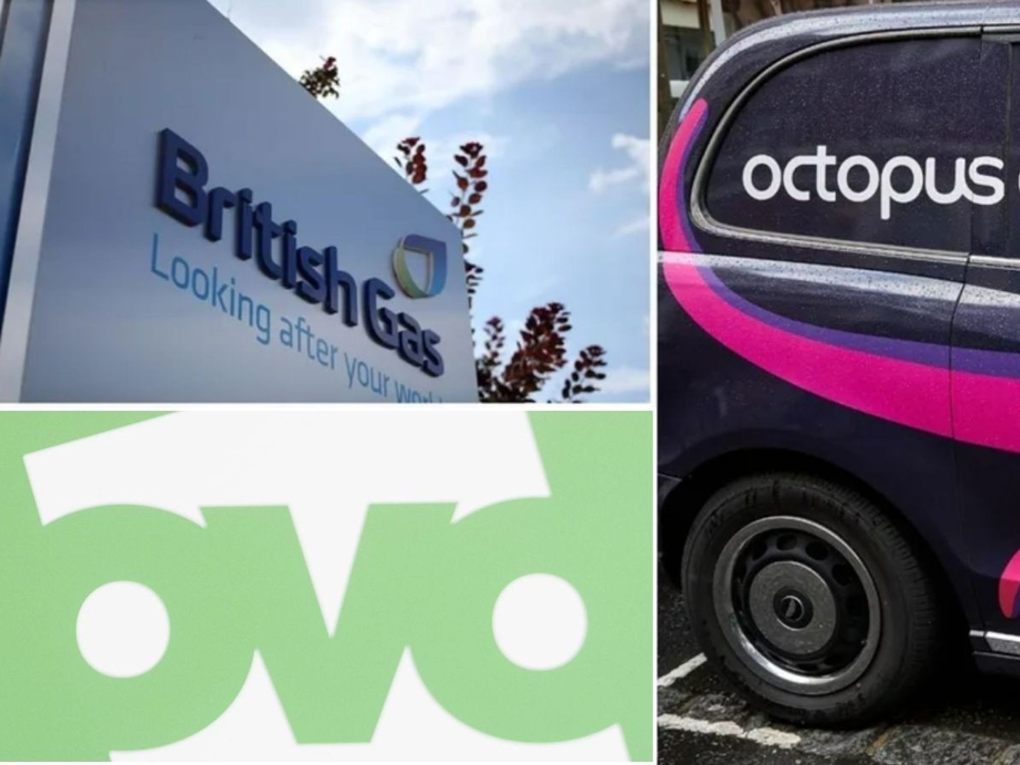 British Gas, OVO and Octopus Energy logo