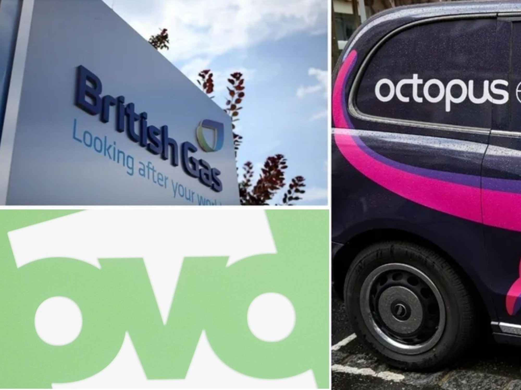 British Gas, OVO and Octopus Energy logo