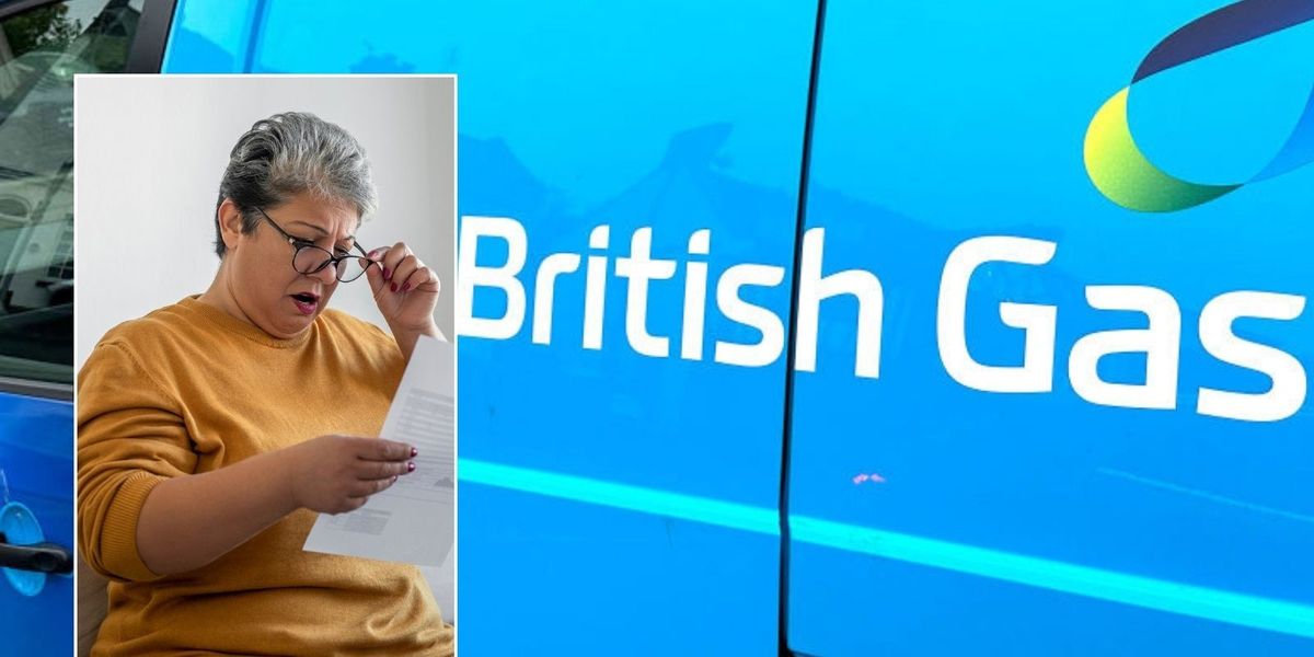 NextImg:British Gas owner to post record £1.6bn profit as millions fall into debt amid rising energy bills