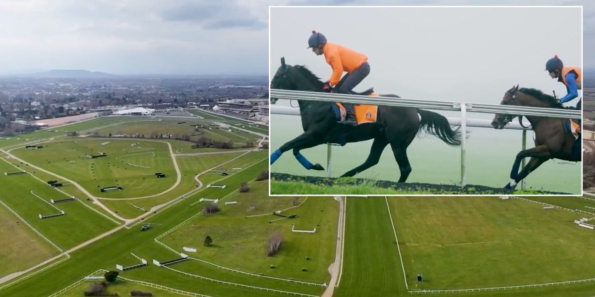 NextImg:British horse racing events CANCELLED as industry strikes for first time ever in modern history