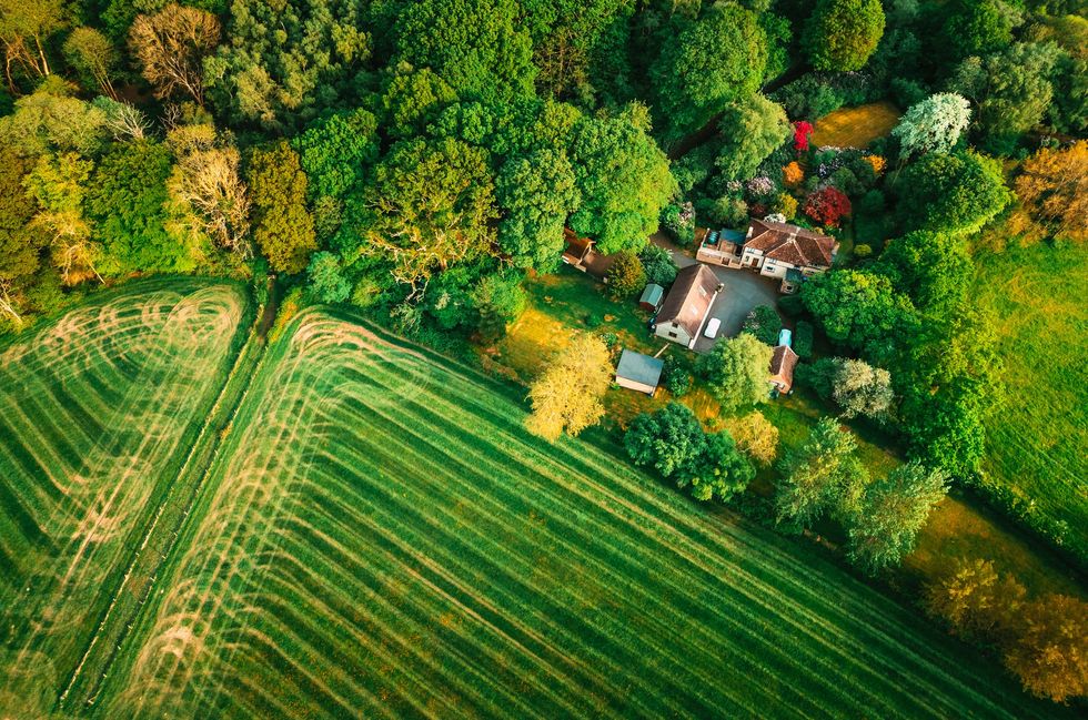 British land