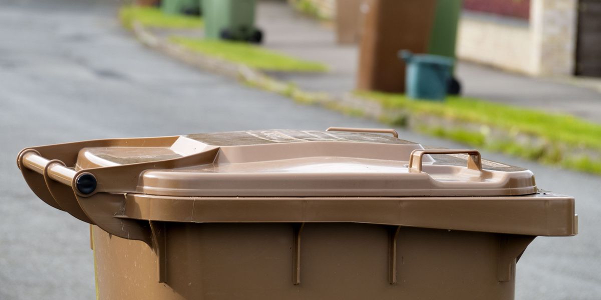 NextImg:Man who put bins out early fined £1,000 by 'Stasi-like' council