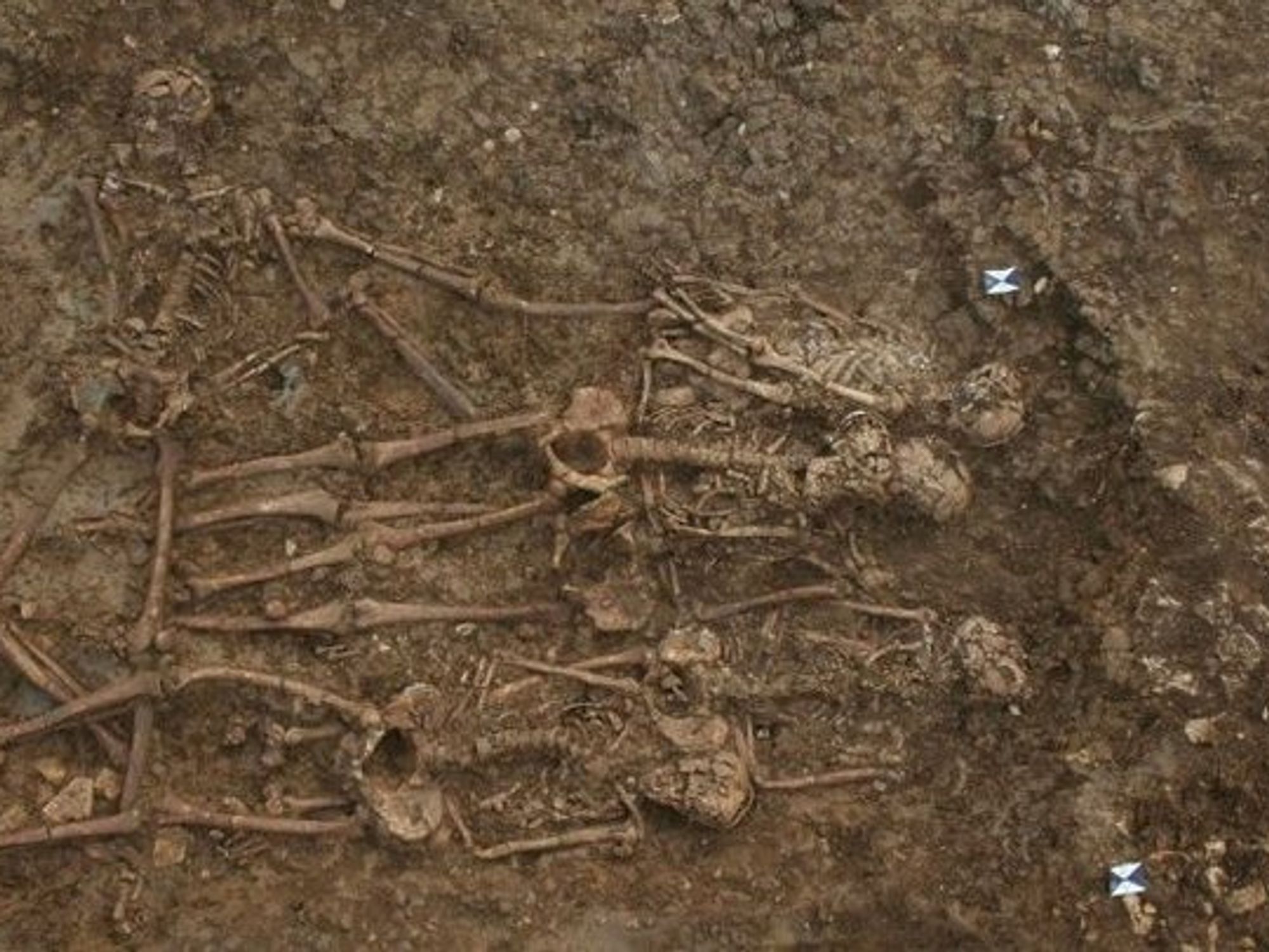 Buckingham excavation site