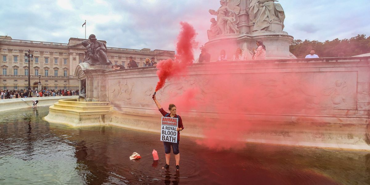 Buckingham Palace protesters lose legal bids to overturn sentences Buckingham Palace protesters lose legal bids to overturn sentences
