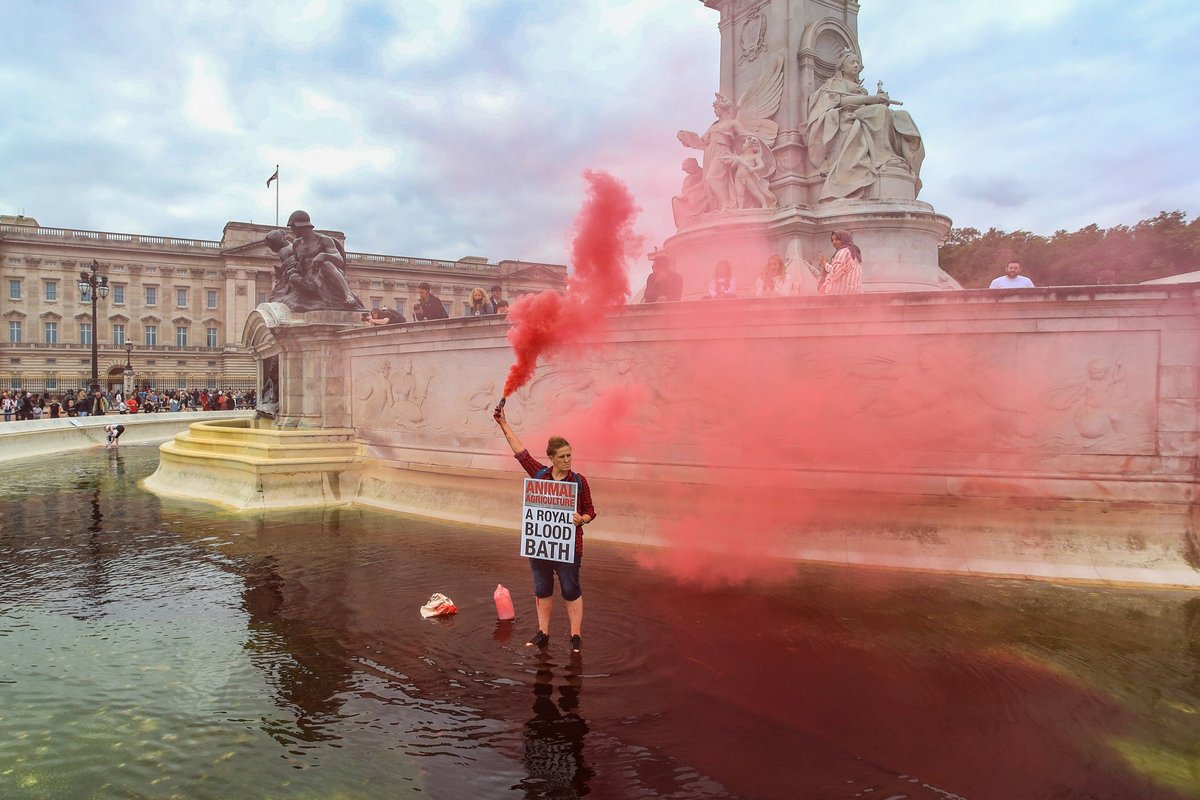 Buckingham Palace protest