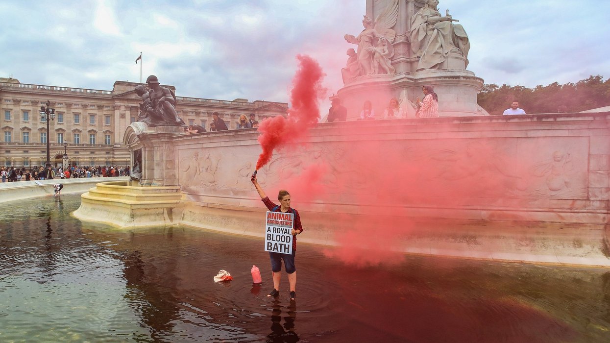 Buckingham Palace protest