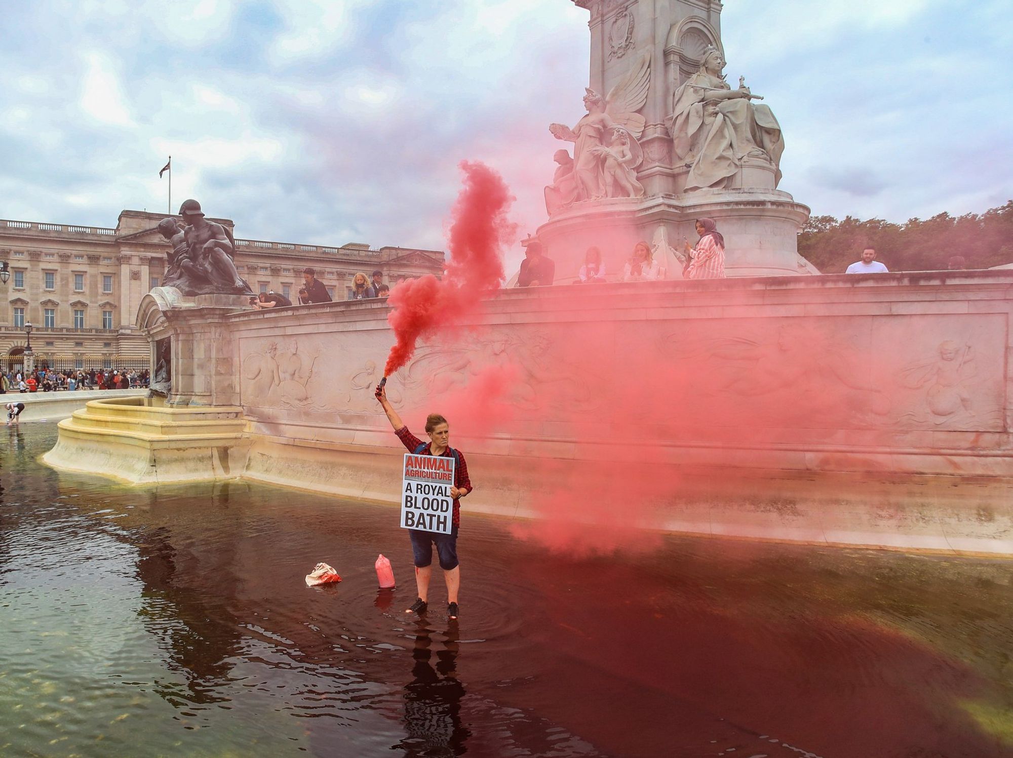 Buckingham Palace protest