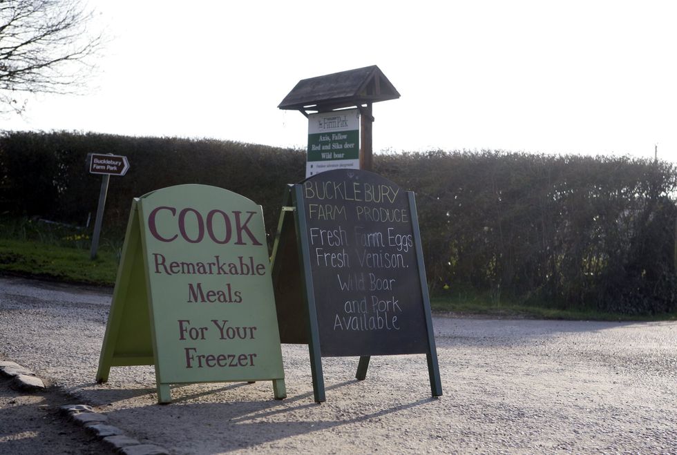 Bucklebury Farm Park, West Berkshire