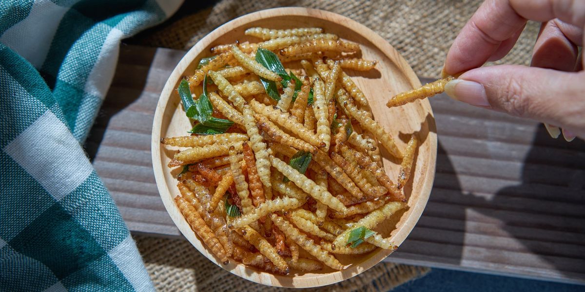 NextImg:Government-backed drive to get the public to eat more BUGS in meat alternative
