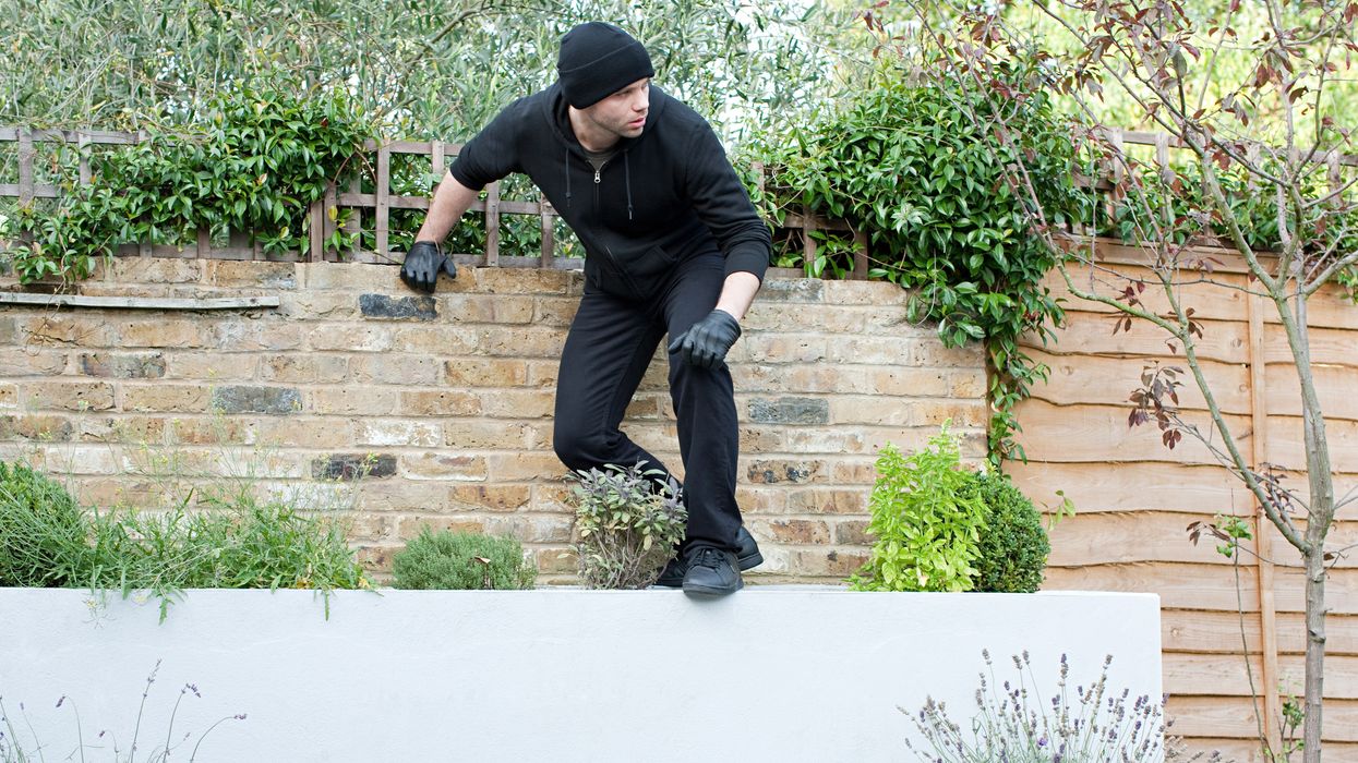 Burglar climbing over garden wall