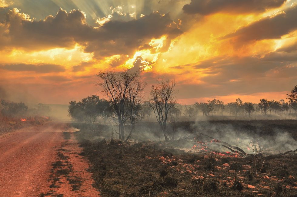 Bushfire in Australian Outback