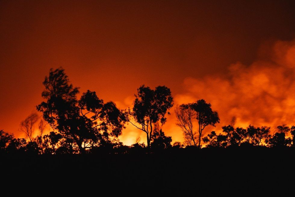 Bushfires in Australia