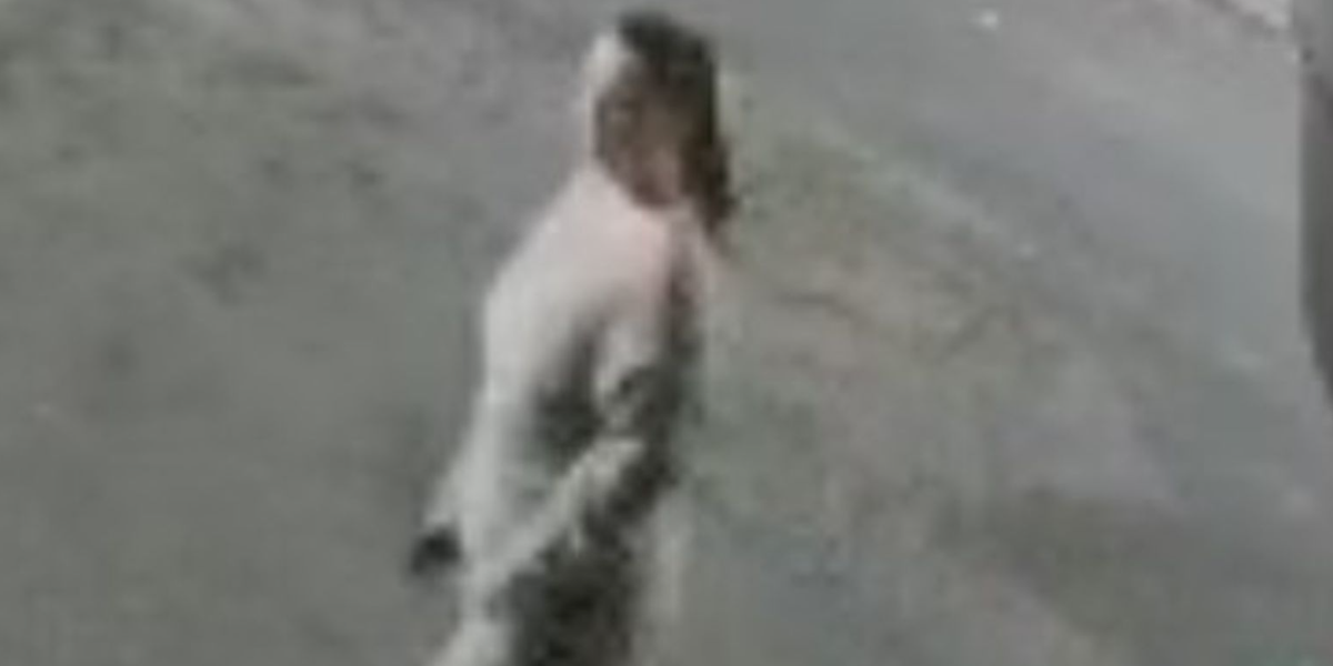 NextImg:Manhunt launched for woman after mother killed in 'hit and run' as police release CCTV images