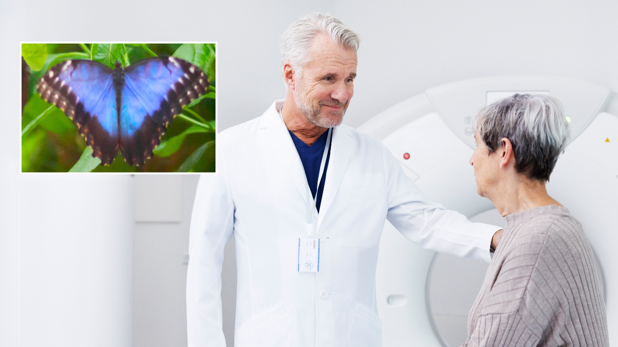 Butterflies doctor cancer