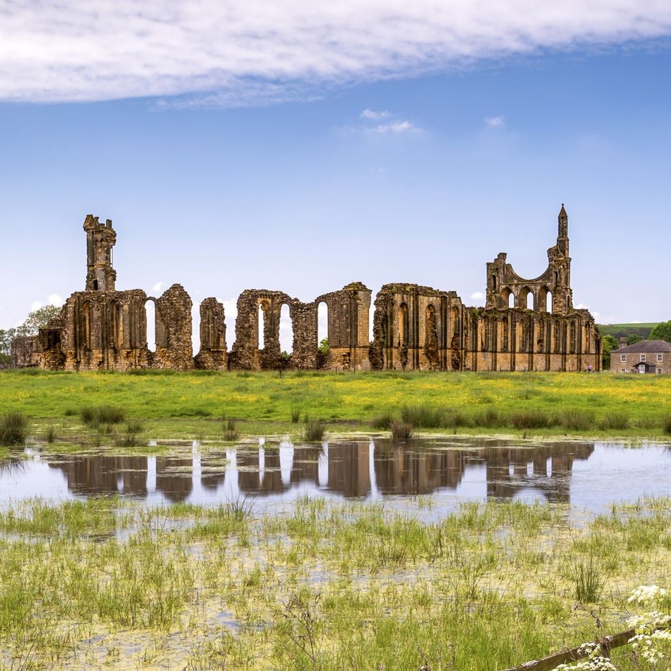 Byland Abbey