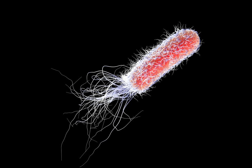 C. Diff