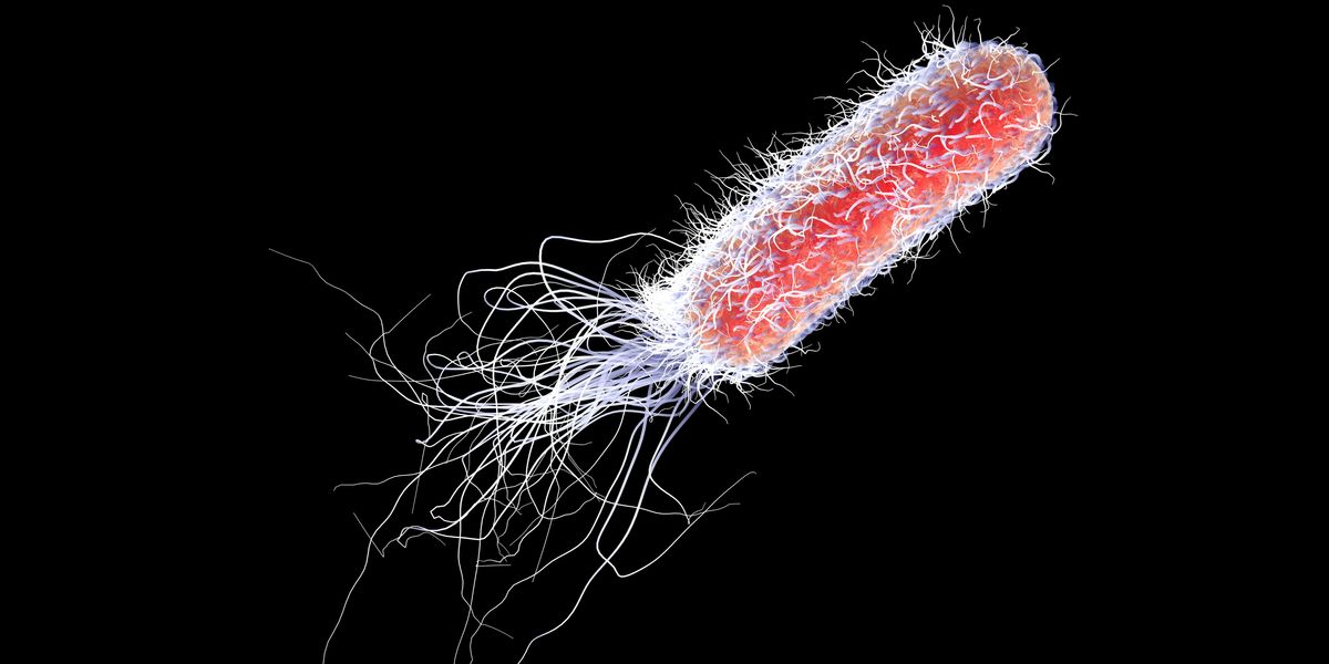 NextImg:UK hit by worst outbreak of contagious bacteria in decade as fatal infections surge
