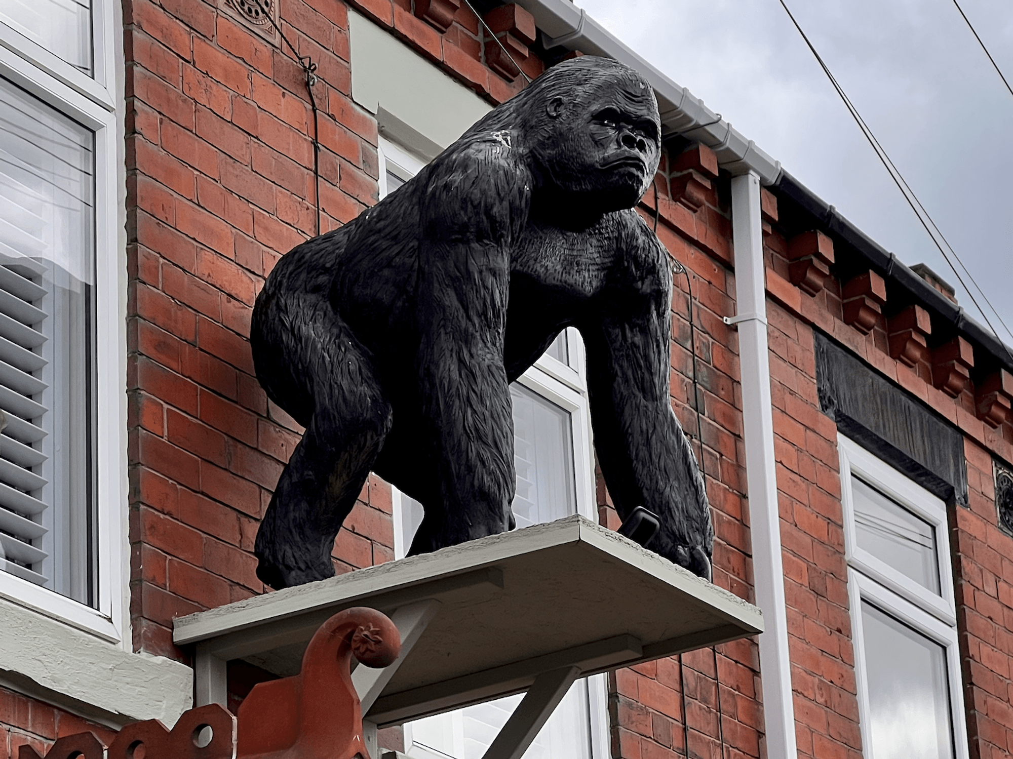 Caesar, gorilla statue mounted between two windows