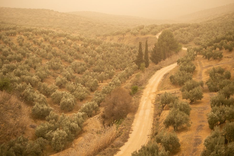 calima weather red dust
